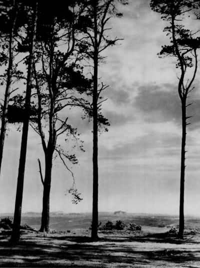 View from Camp Hill - 1930