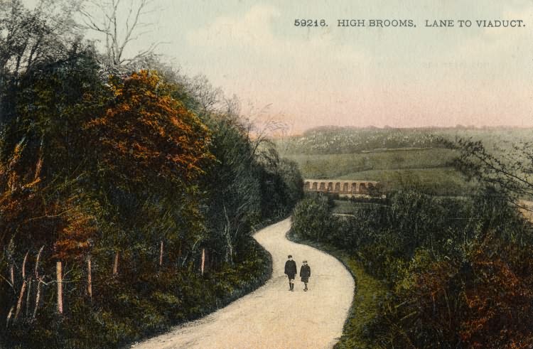 Lane to Viaduct, High Brooms - 1927