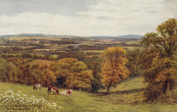 Bidborough Ridge - 1915