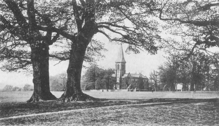 On Southborough Common - 1906