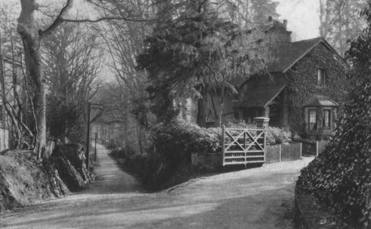 The Hollands Lodge, Forest Lane - c 1920