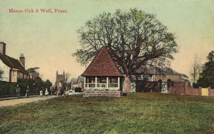 Manor Oak & Well - 1908