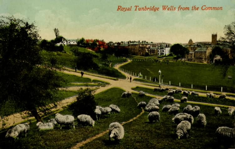 Royal Tunbridge Wells from the Common - 1911