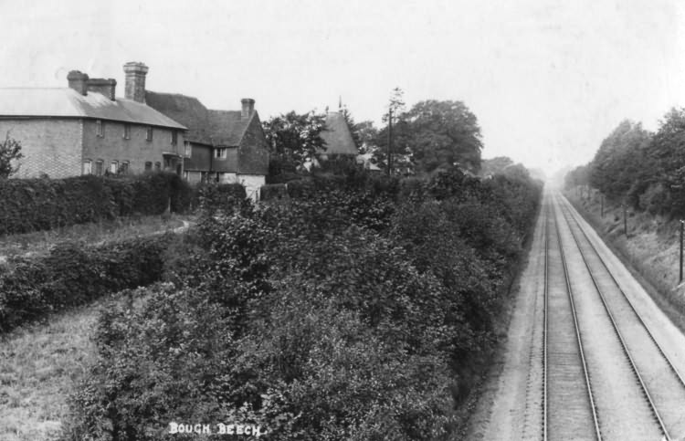 Bough Beech - 1913