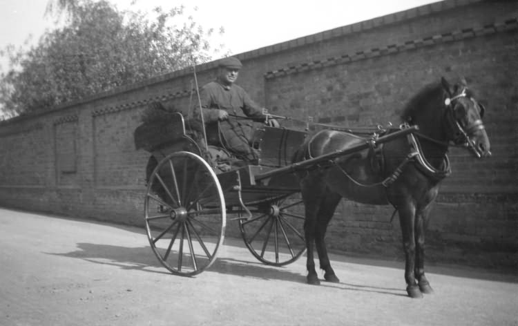 Horse and Carriage - 1910