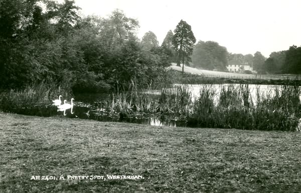 A Pretty Spot - c 1900