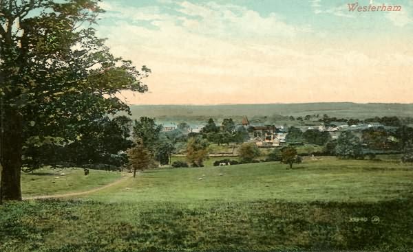Westerham View - c 1900