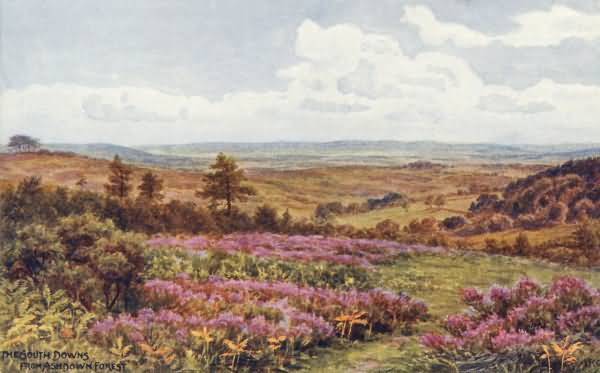 South Downs from the Ashdown Forest - 1924