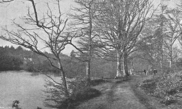 Mill Pond, Angley Wood - 1896