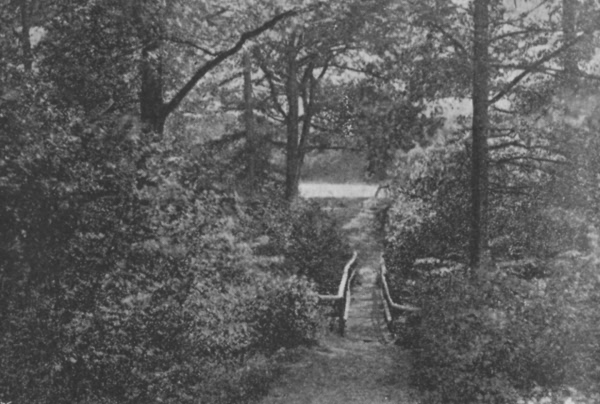 Spratsbourne Glen - 1896
