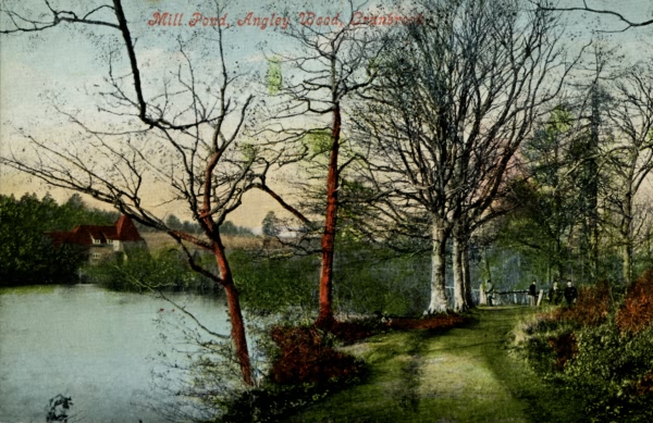 Mill Pond, Angley Wood - 1910