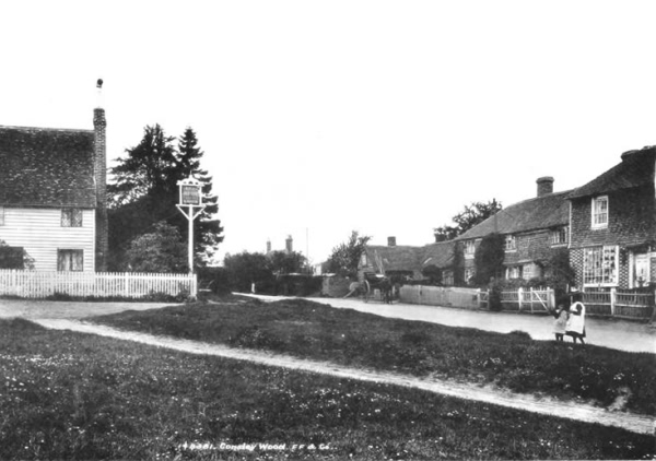 Cousley Wood - 1903