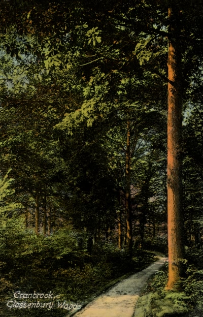 Glassenbury Wood - 1910