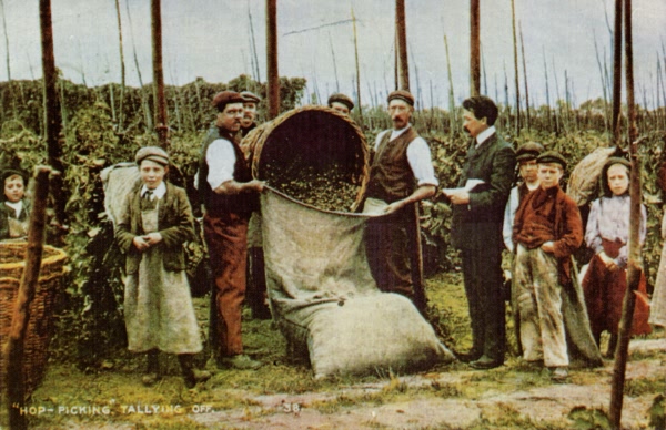 Hop Picking - c 1910