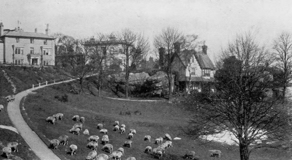 On the Common - 1896