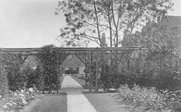 Anne Boleyns Garden, Hever Castle - 1907