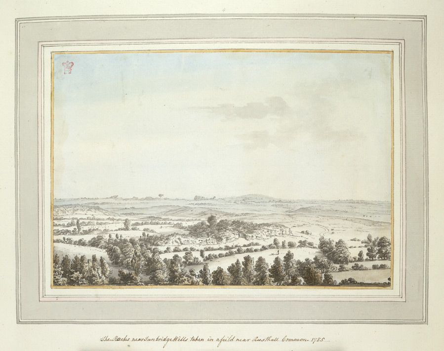 Shelocks near Tunbridge Wells taken in a field near Rusthall Common - 1785