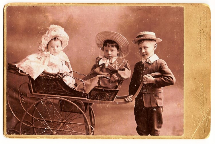 Canfield boys<br />l to r: Alfred, George & Walter - 1901