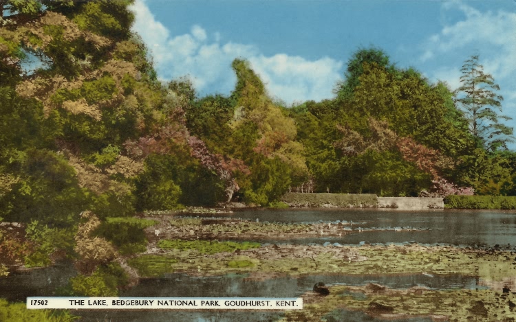 The Lake, Bedgebury National Park - 1959