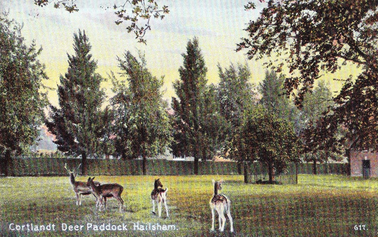 Cortlandt Deer Paddock - 1907