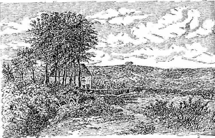 Cottage on the Forest - 1890