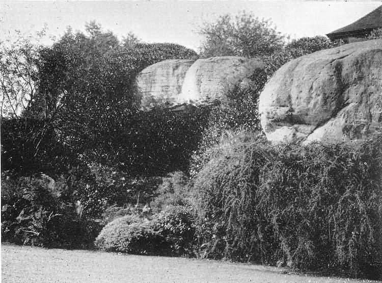The Hermitage - c 1929