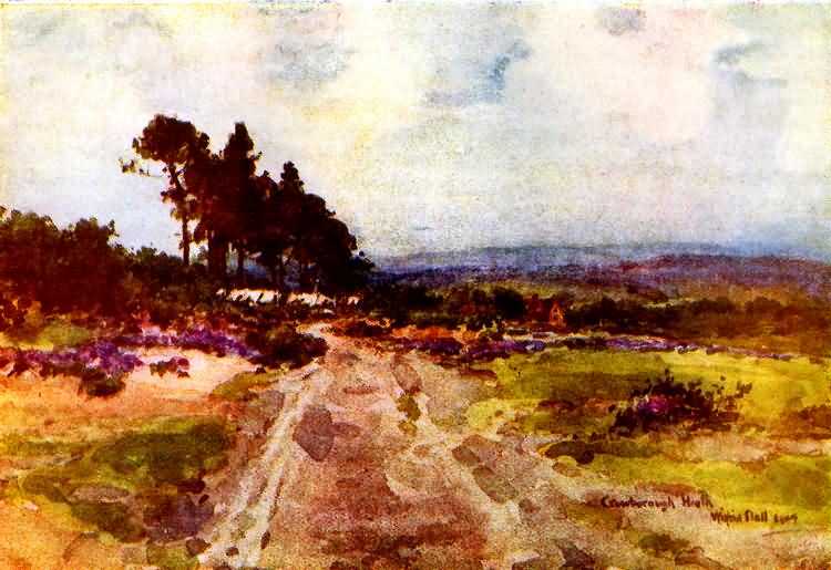 Crowborough Heath - 1904
