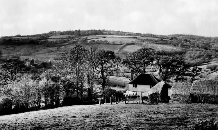 Pooks Hill - 1938