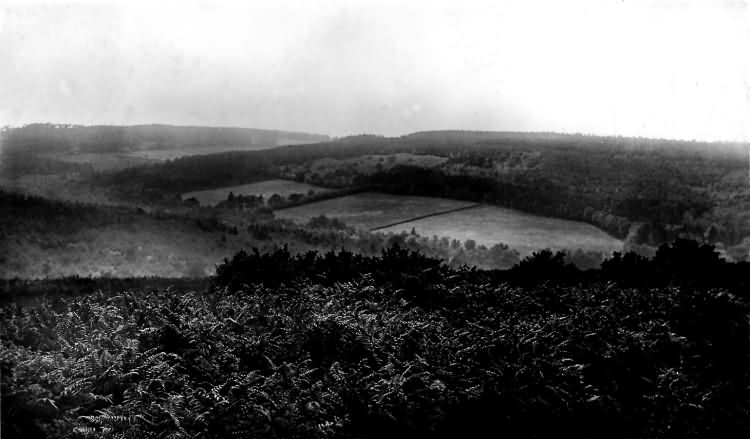 The Warren - 1915