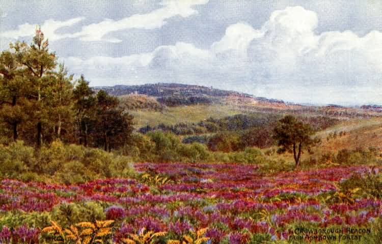 Crowborough Beacon from the Ashdown Forest - c 1910