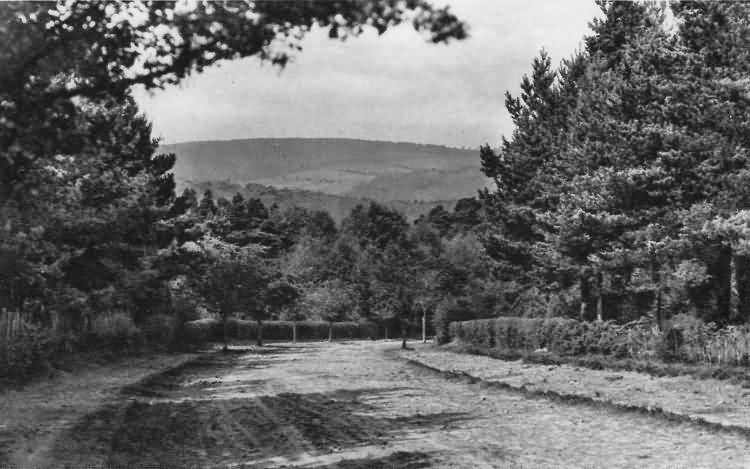 Goldsmith Avenue - 1938