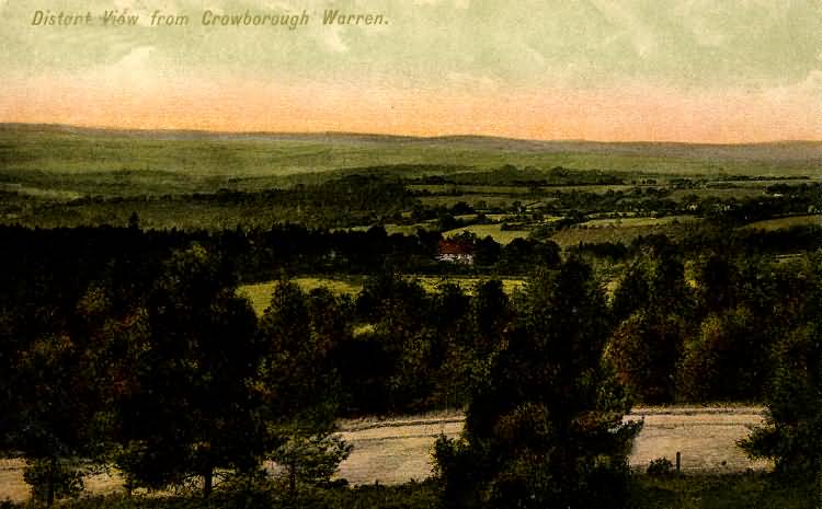 Crowborough Warren - 1906