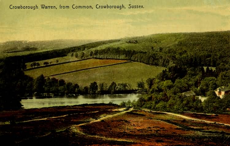Crowborough Warren - 1908