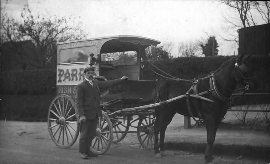 The Parris Pony and Trap - c 1905