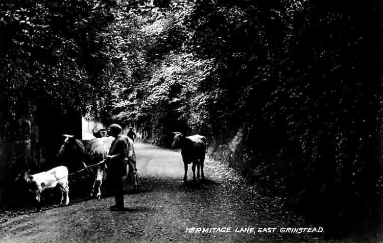 Hermitage Road - 1935