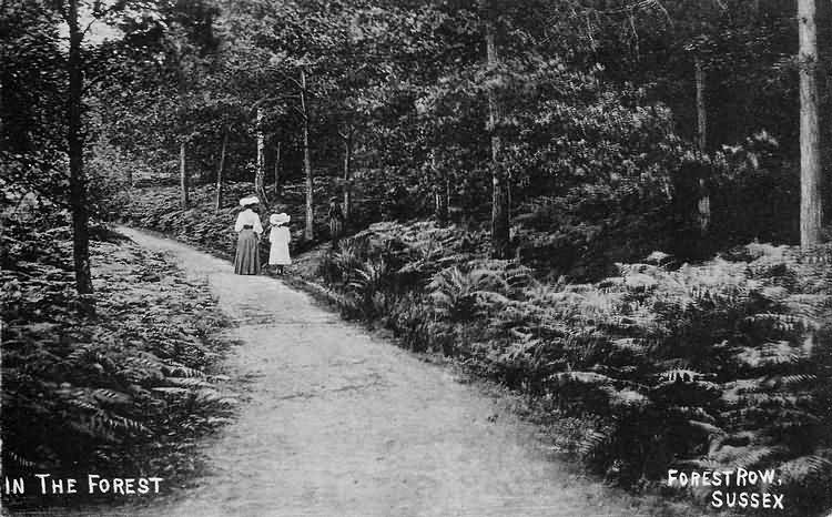 In the forest at Forest Row - 1908