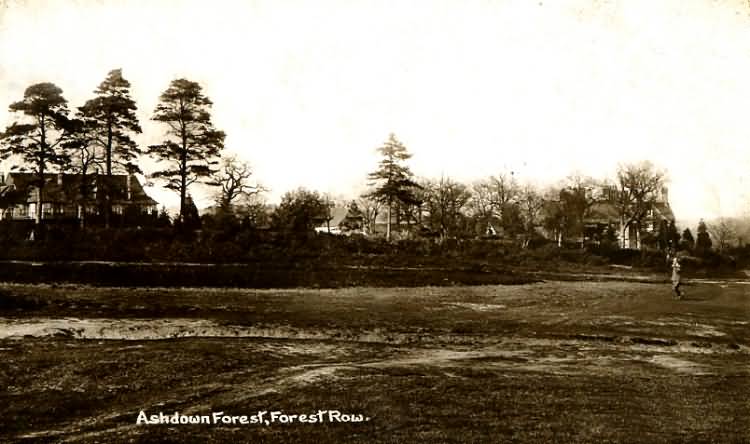 The Ashdown Forest - c 1910