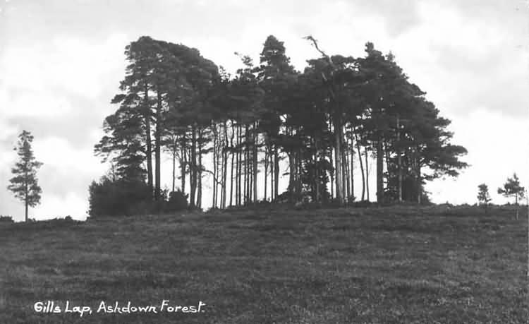 Gills Lap, Ashdown Forest - c 1925