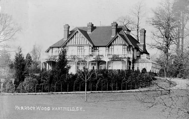 Parrock Wood - 1907