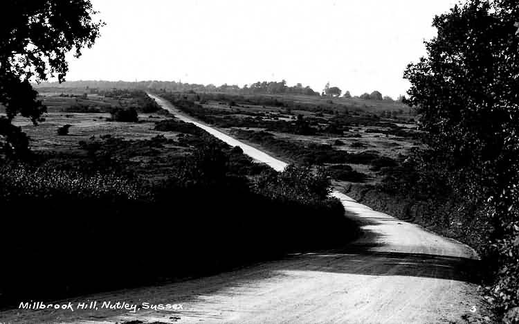 Millbrook Hill, Nutley, Ashdown Forest - 1920