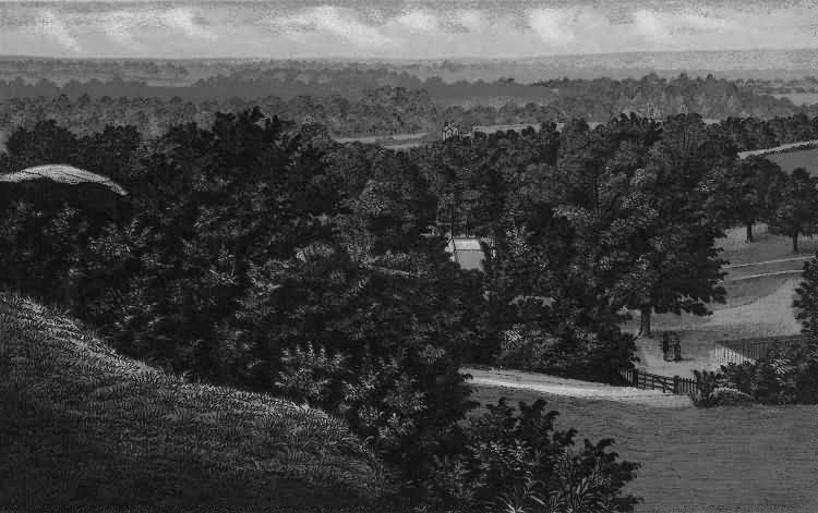 The Happy Valley from Rusthall Common - 1889