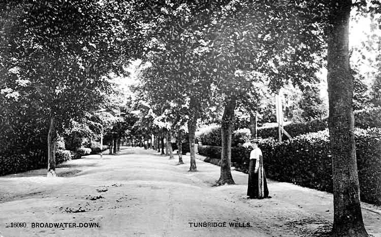 Broadwater Down - c 1920