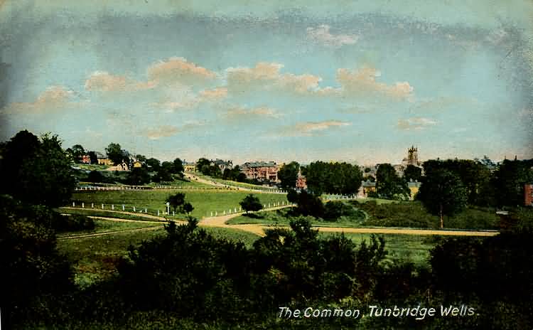 The Common - 1905