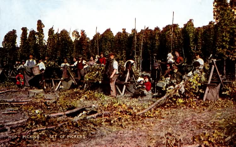 Hop Pickers - 1907