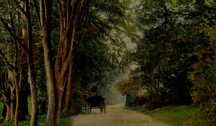 The Hollies, near Buckhurst Park - 1913