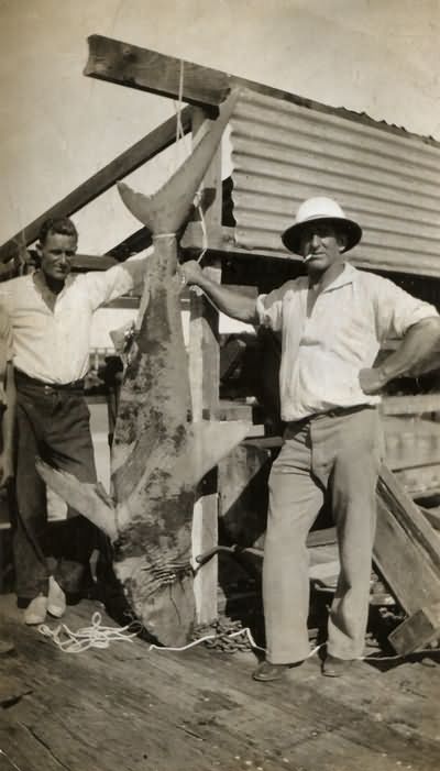 Herbert Edward Harman - big game fishing - 1937