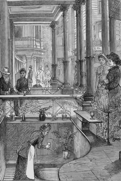 The Chalybeate Spring - 1880