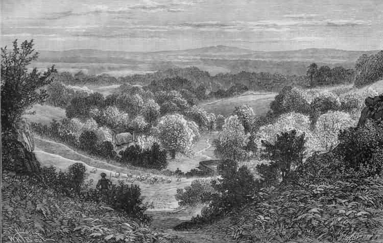 The Happy Valley - 1880