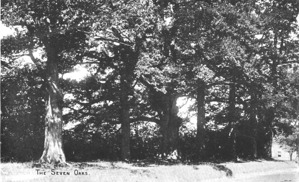 The Seven Oaks - 1900