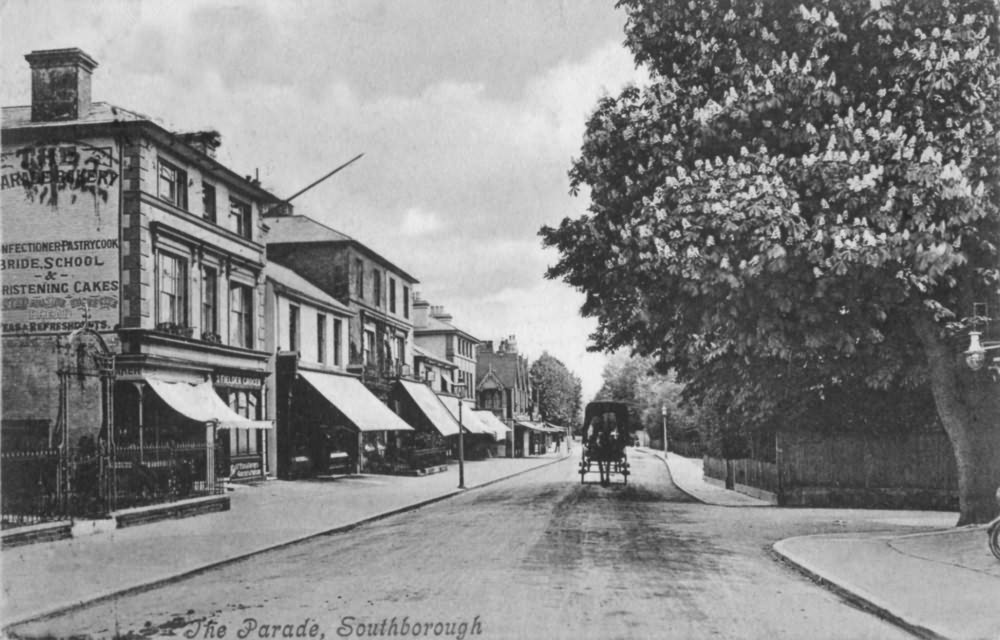 The Parade - 1905